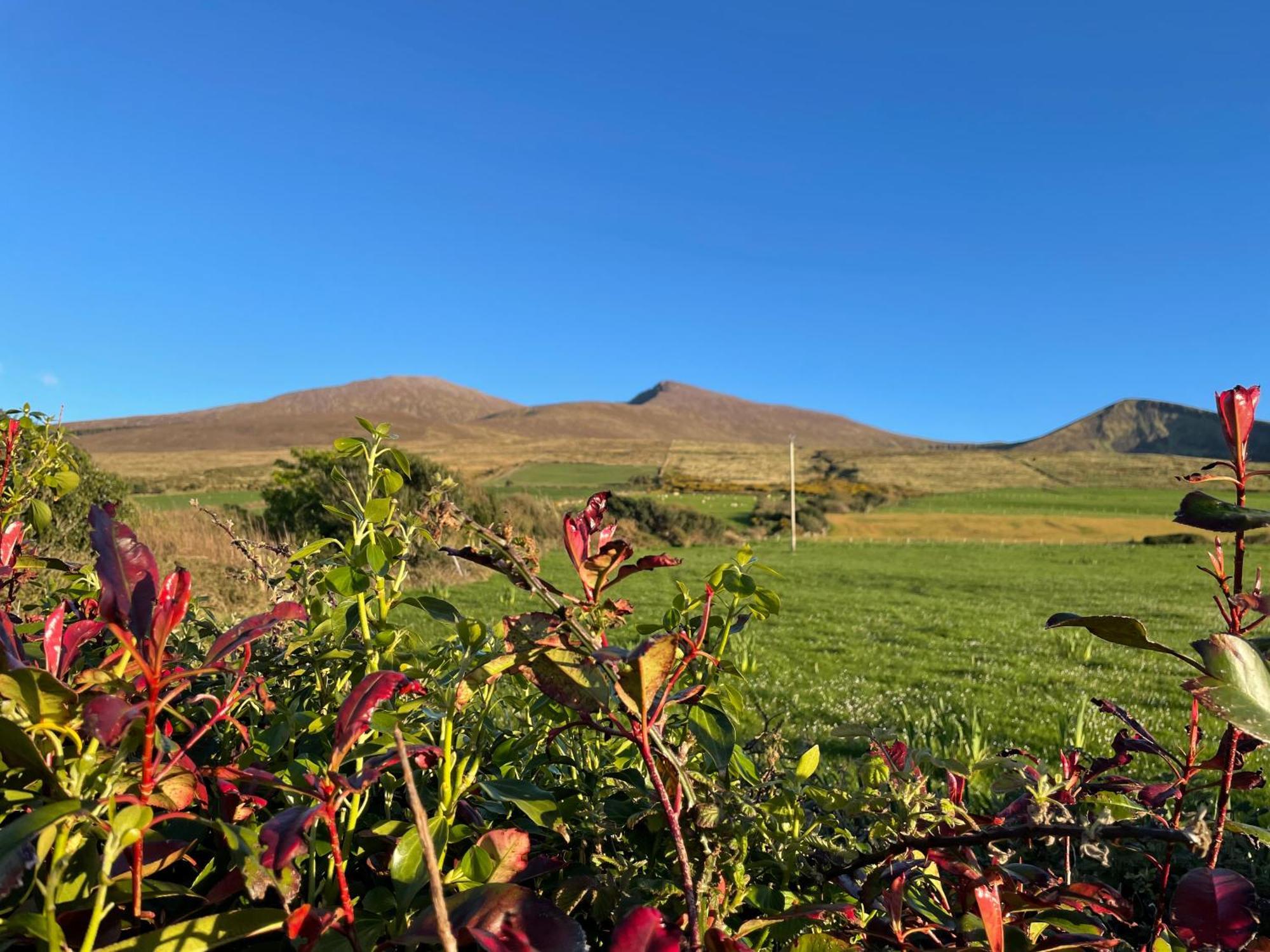 Beenoskee Bed And Breakfast Castlegregory Exterior foto